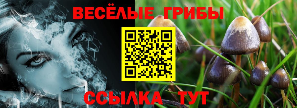 Ялуторовск  цена наркотик  Вход с VPN  Псилоцибиновые грибы Psilocybine cubensis 